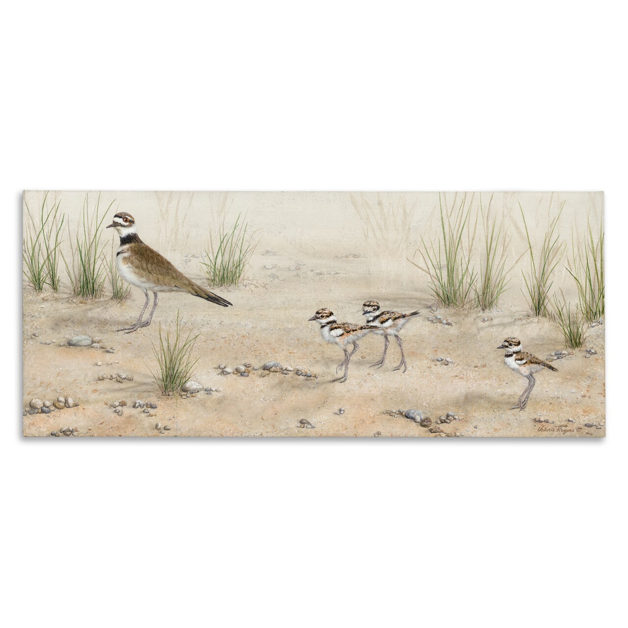 Stupell Industries Kildeer Birds Stepping Canvas Wall Art Design by Valerie Rogers